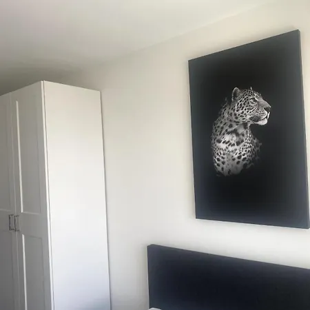Calypso Centrum Apartment